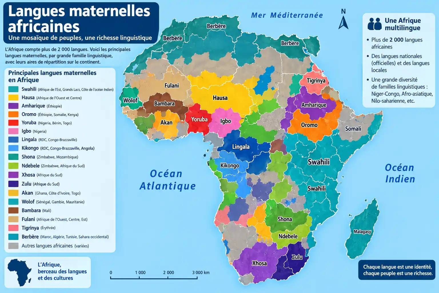 Graphique des langues maternelles les plus parlées en Afrique