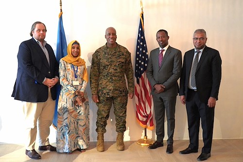 Opération militaire en Somalie contre Al Shabaab