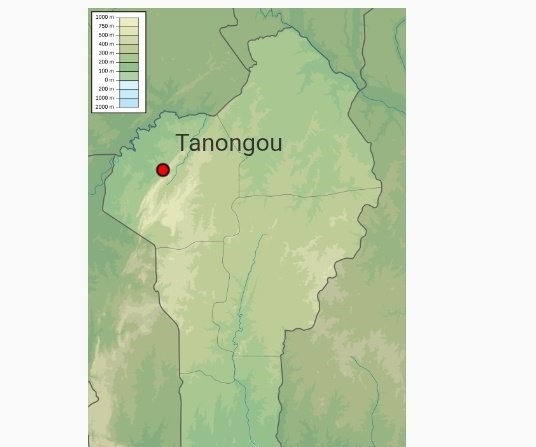 Attaque du commissariat de Tanongou au Bénin