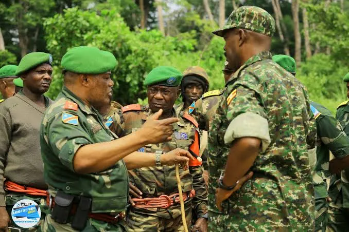Opérations militaires conjointes en Ituri, RDC